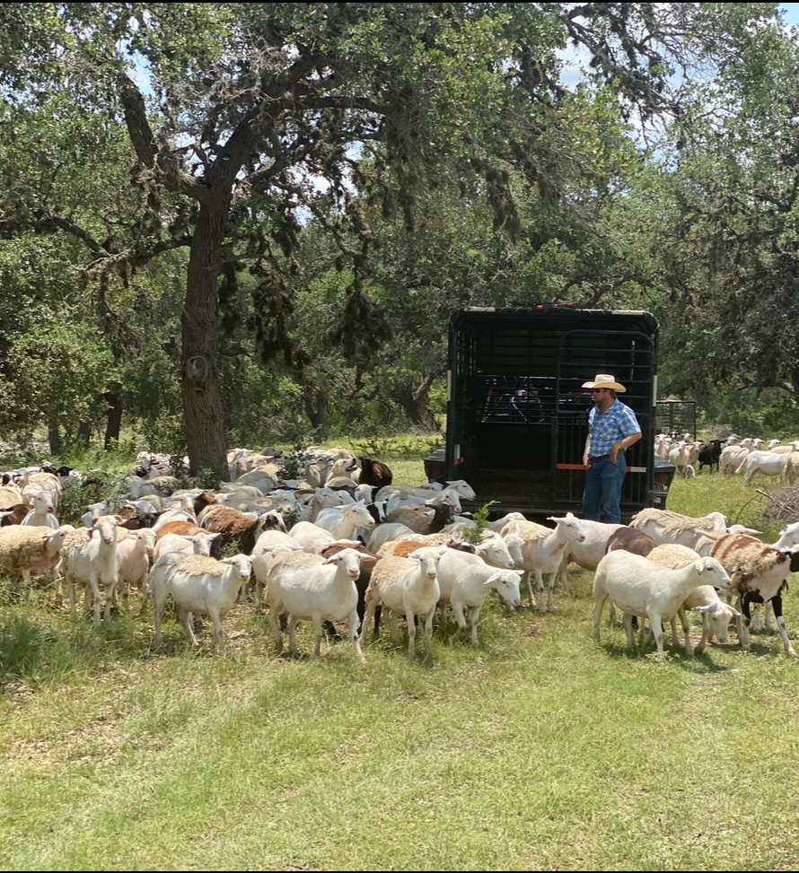 Pure Pastures Ranch Store photo 2