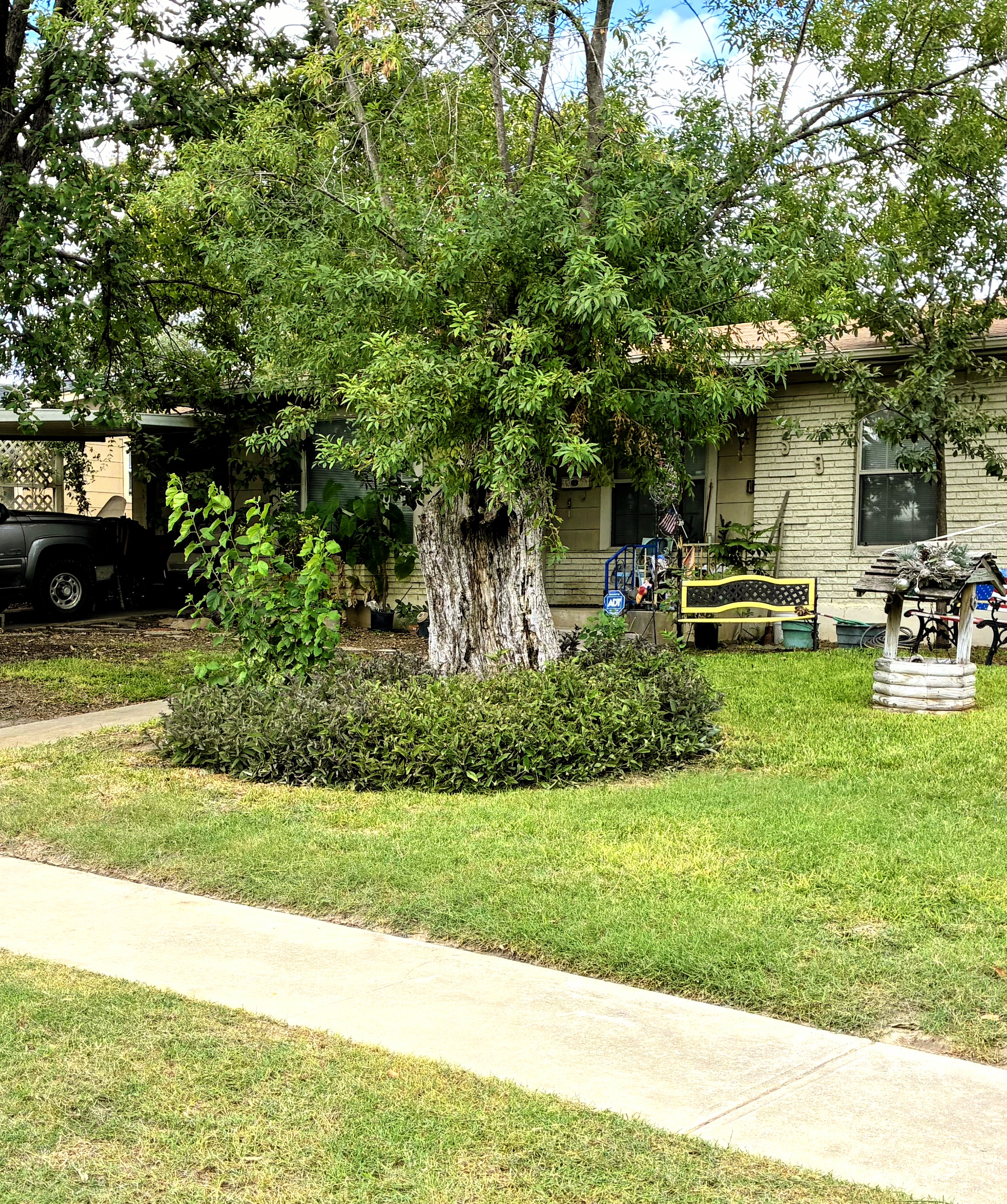 Redeemed Lawn Care photo 2